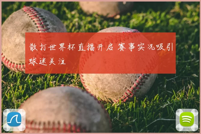 散打世界杯直播开启 赛事实况吸引球迷关注
