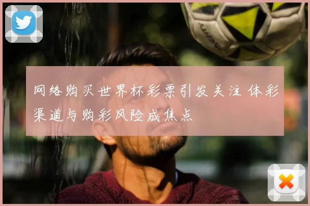 网络购买世界杯彩票引发关注 体彩渠道与购彩风险成焦点