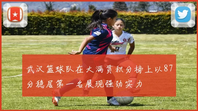 武汉篮球队在大满贯积分榜上以87分稳居第一名展现强劲实力