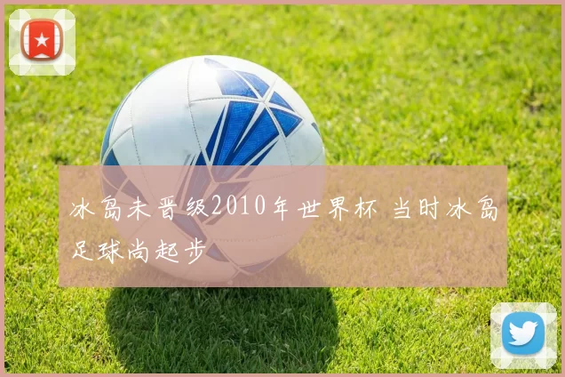 冰岛未晋级2010年世界杯 当时冰岛足球尚起步