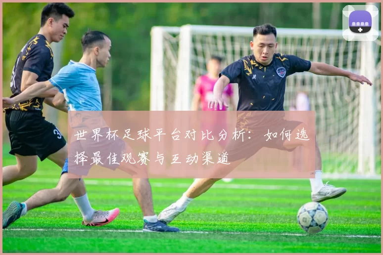 世界杯足球平台对比分析:如何选择最佳观赛与互动渠道