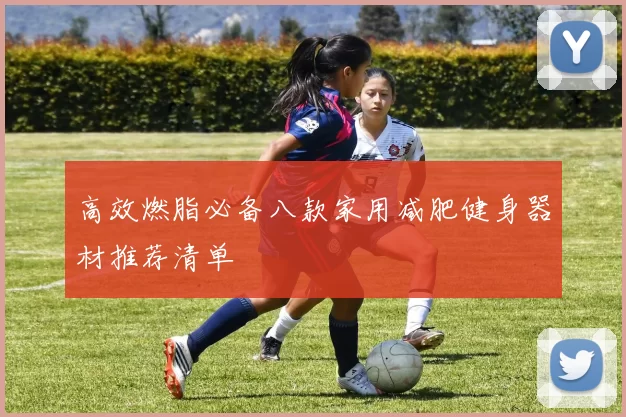 高效燃脂必备八款家用减肥健身器材推荐清单