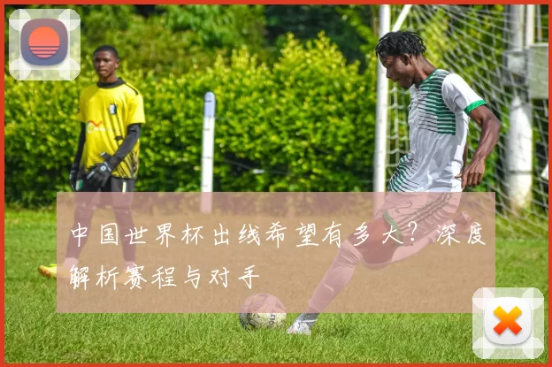 中国世界杯出线希望有多大?深度解析赛程与对手