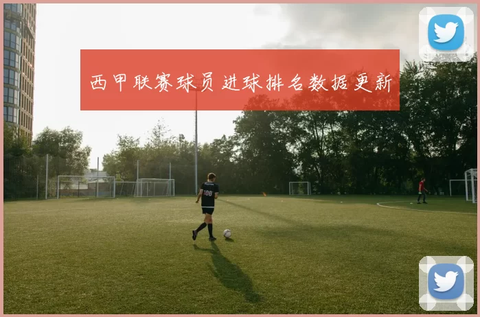 西甲联赛球员进球排名数据更新