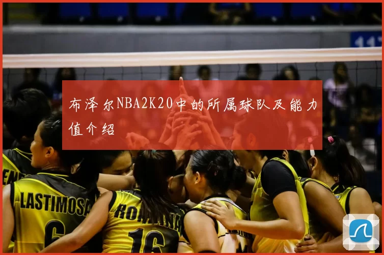 布泽尔NBA2K20中的所属球队及能力值介绍