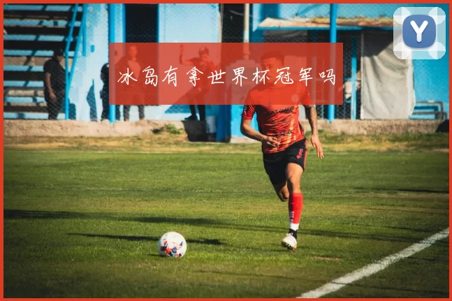 冰岛有拿世界杯冠军吗