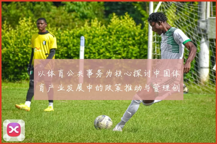 以体育公共事务为核心探讨中国体育产业发展中的政策推动与管理创新