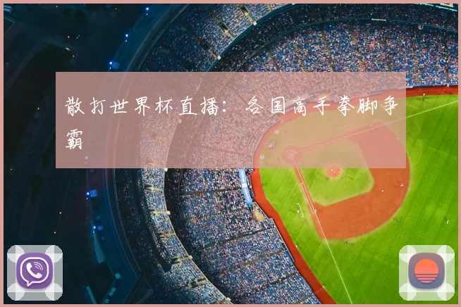 散打世界杯直播:各国高手拳脚争霸