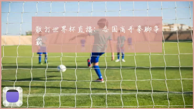 散打世界杯直播:各国高手拳脚争霸