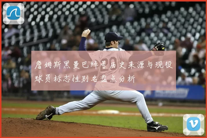 詹姆斯黑曼巴绰号历史来源与现役球员标志性别名盘点分析