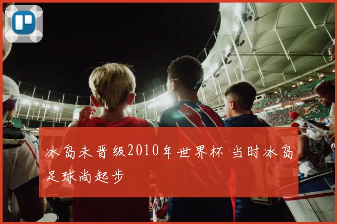 冰岛未晋级2010年世界杯 当时冰岛足球尚起步
