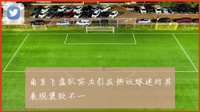 南京飞盘队实力引发热议球迷对其表现褒贬不一